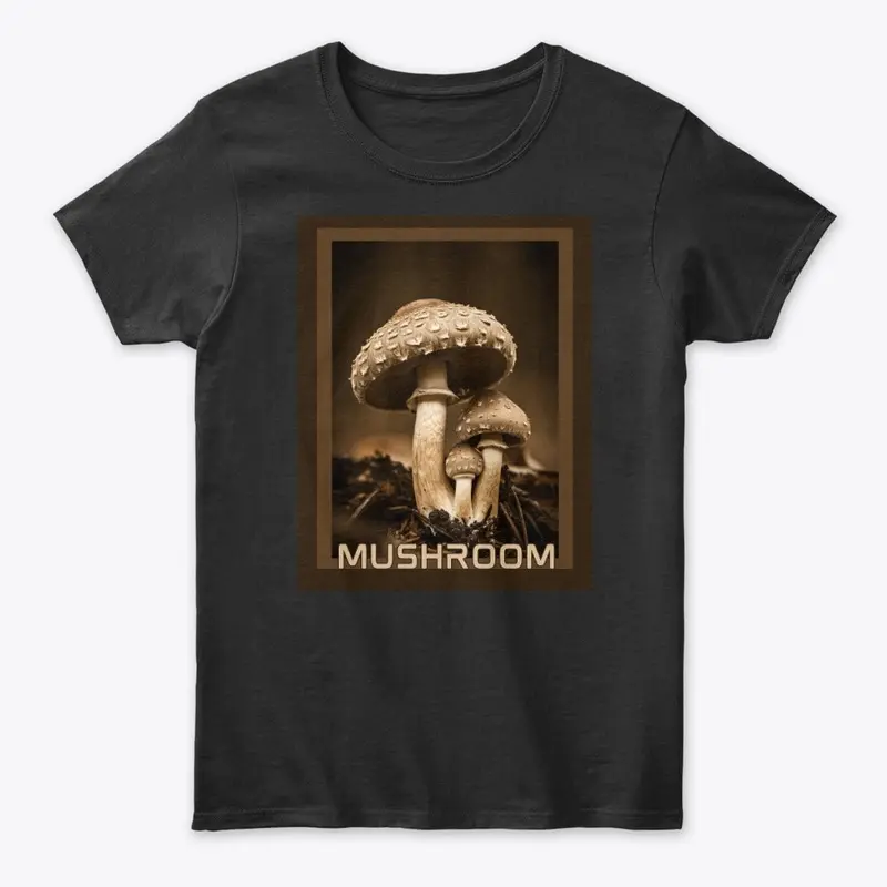 Vintage Mushroom Photo 